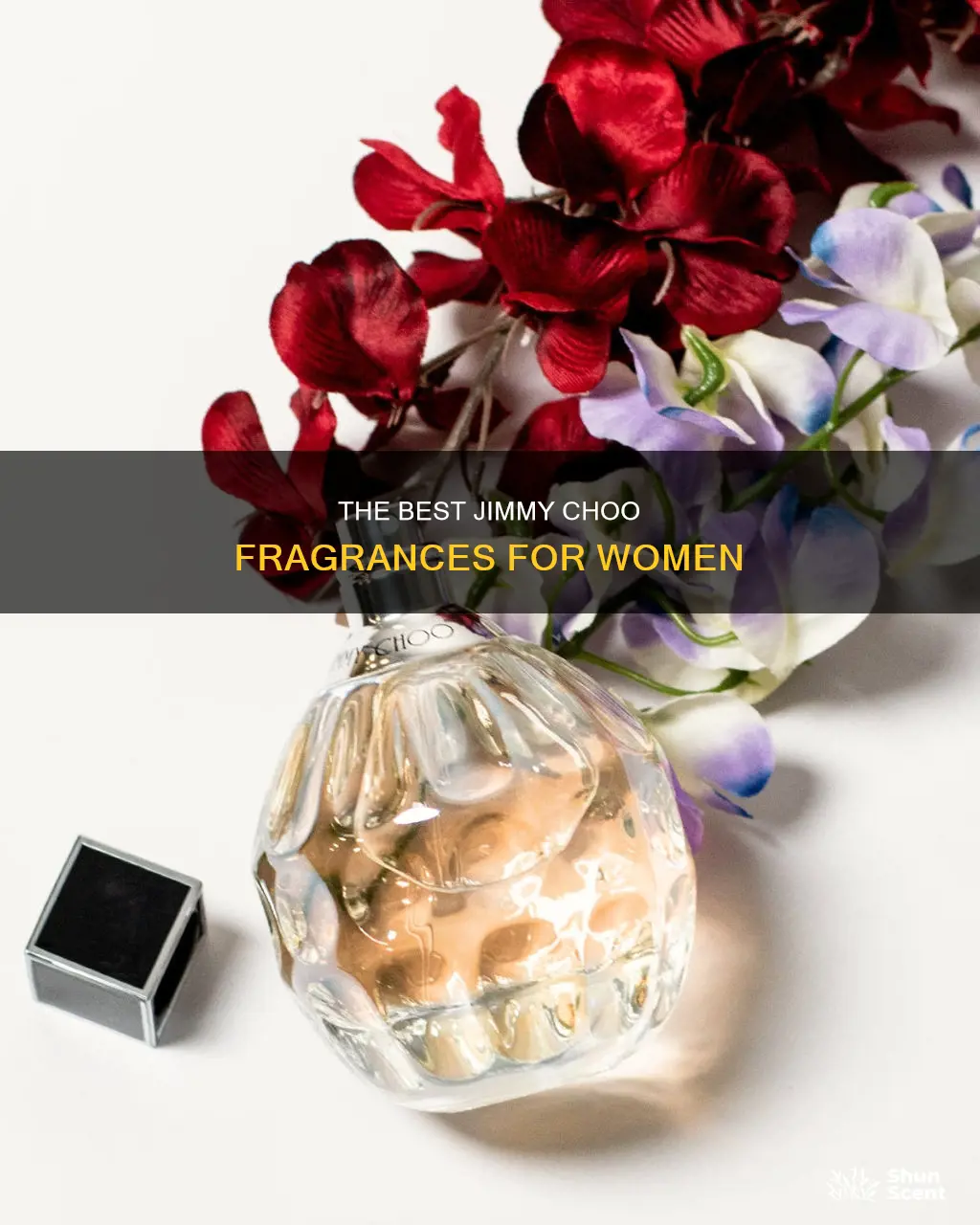which jimmy choo perfume smells the best