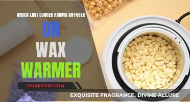 Aroma Diffuser vs Wax Warmer: Which Offers More Longevity?