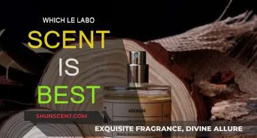 Le Labo Scents: Which Fragrance Suits You Best?