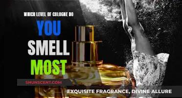 The Power of Scent: Cologne Intensity and Memory