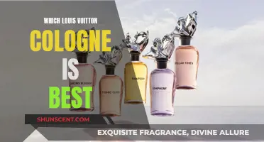 The Best Louis Vuitton Colognes for Men