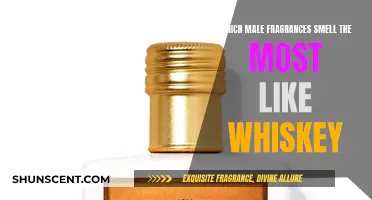Whiskey-Scented Male Fragrances: A Guide to the Best Smells