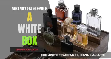 Best Men's Colognes: White Box, Unforgettable Scents