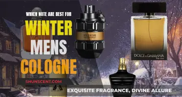 Winter Scents for Men: Notes to Remember