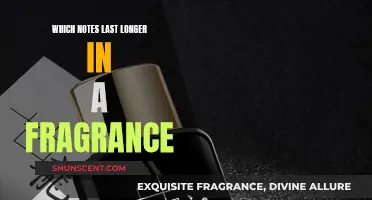 The Long-Lasting Notes of Fragrance: A Guide to Base Notes