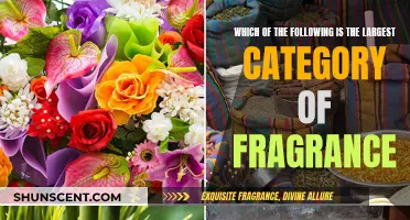 Explore the Largest Fragrance Category and Its Many Scents
