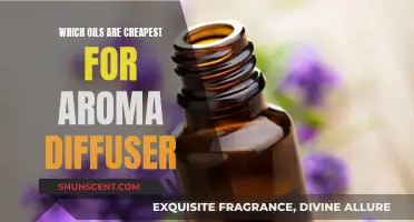 Best Affordable Oils for Your Aroma Diffuser