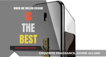 Exploring the Best One Million Colognes: Top Picks