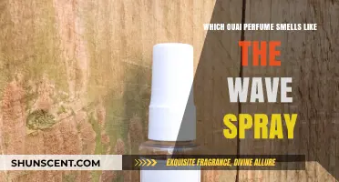 Ouai Scents: Wave Spray's Fragrance Match