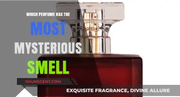 Mysterious Scents: Unveiling the Most Enigmatic Perfumes