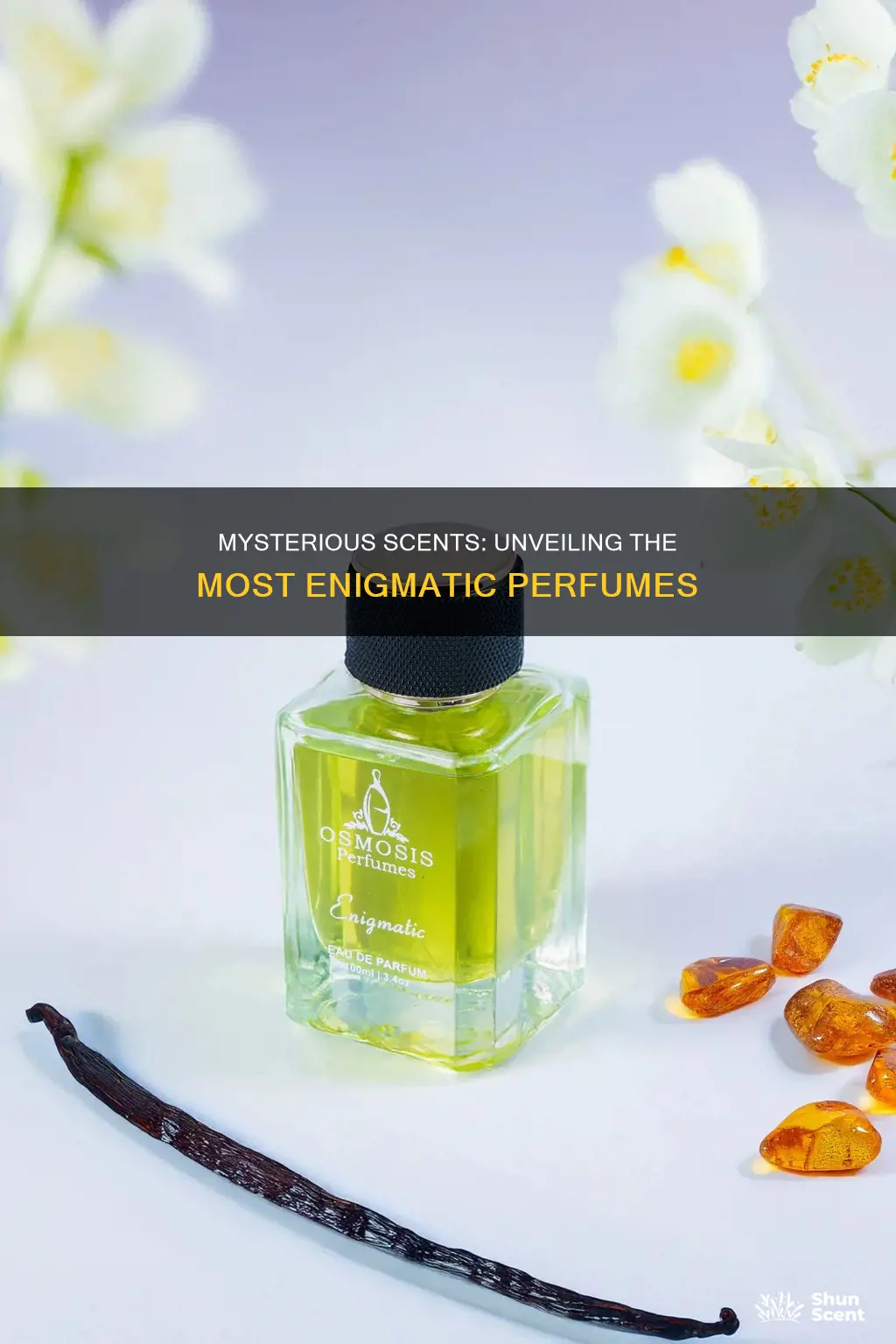 which perfume has the most mysterious smell