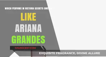 Victoria's Secret Scents: Ariana Grande's Perfume Twin
