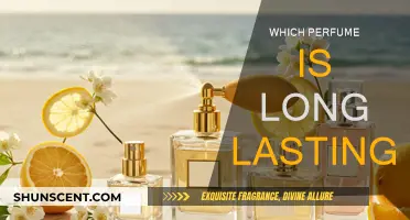 How to Find Long-Lasting Perfumes: Tips and Tricks
