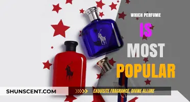 The Most Popular Perfumes: What's Trending Now