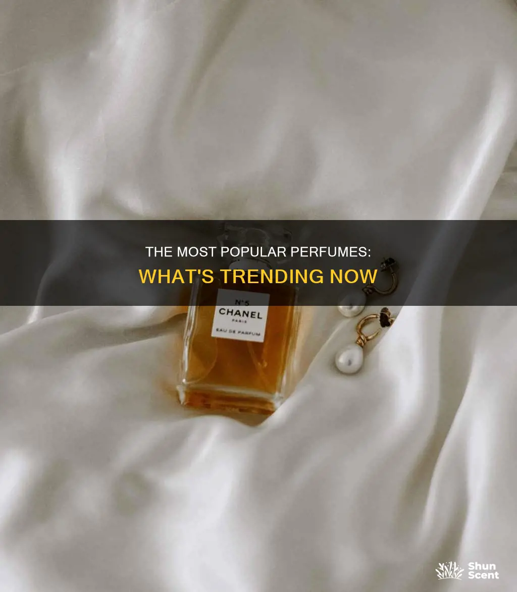 which perfume is most popular