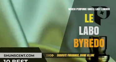 Long-Lasting Scents: Le Labo vs Byredo