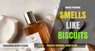 Scents of Comfort: Perfumes with Biscuit Notes