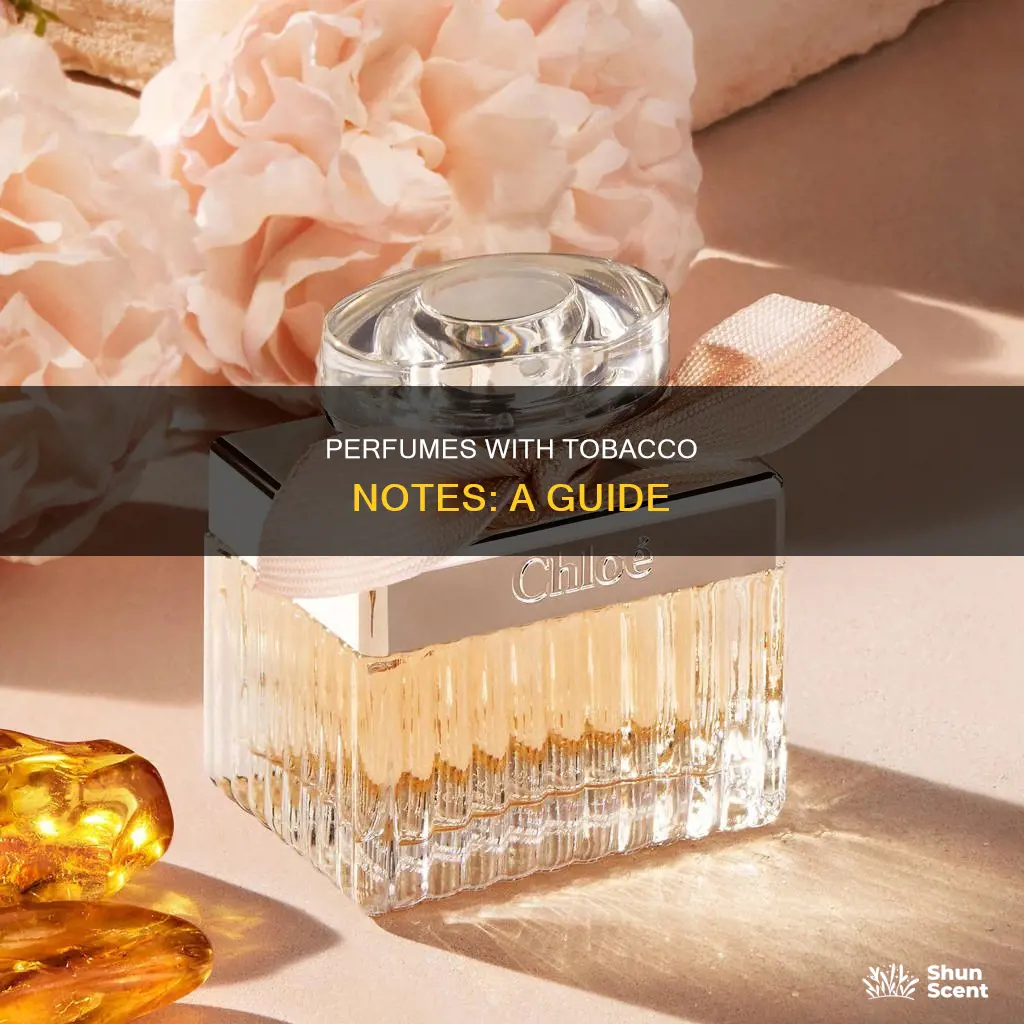 which perfume smells like cigarettes