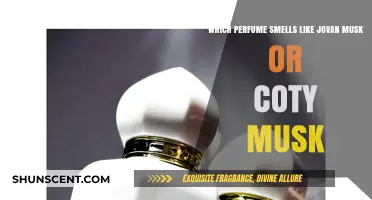 Best Perfumes That Smell Like Jovan or Coty Musk