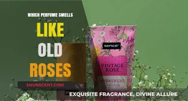 Discovering the Perfect Rose Scent: A Fragrance Guide