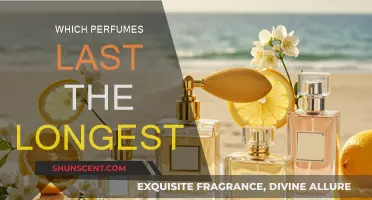 Long-Lasting Scents: Perfumes with Staying Power
