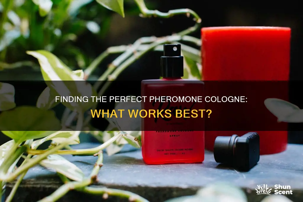 which pheromone cologne works best