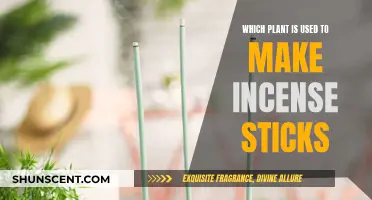 The Ancient Art of Incense: Plant Origins