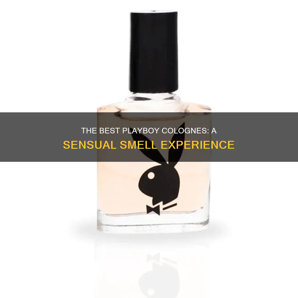 which playboy cologne smells the best