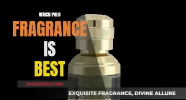 Polo Fragrances: Finding Your Perfect Scent