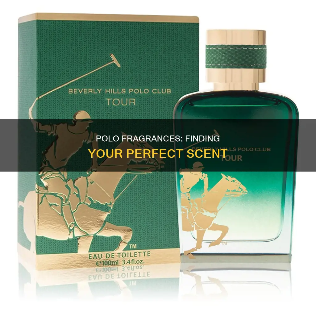 which polo fragrance is best