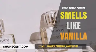 Vanilla-Based Replica Perfumes: Exploring the Options