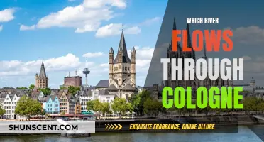 The Rhine's Journey Through Cologne