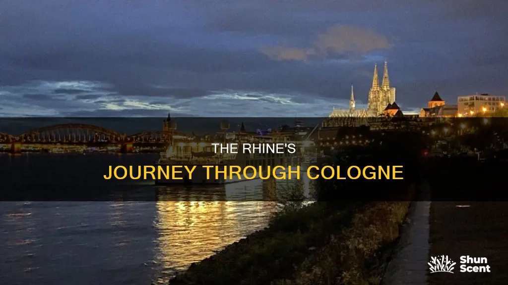 which river flows through cologne