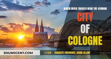 The Rhine's Journey: Cologne's Riverside Charm