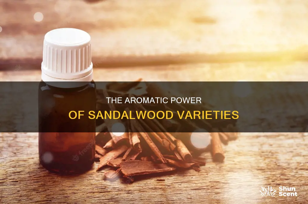 which sandlewood has an aroma