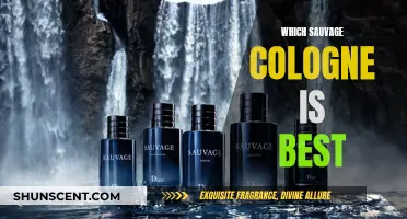 Sauvage Colognes: The Best Fragrances for Men