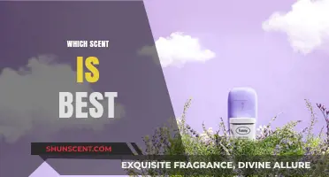 Discover the Perfect Scent: Top Aromas to Elevate Your Mood