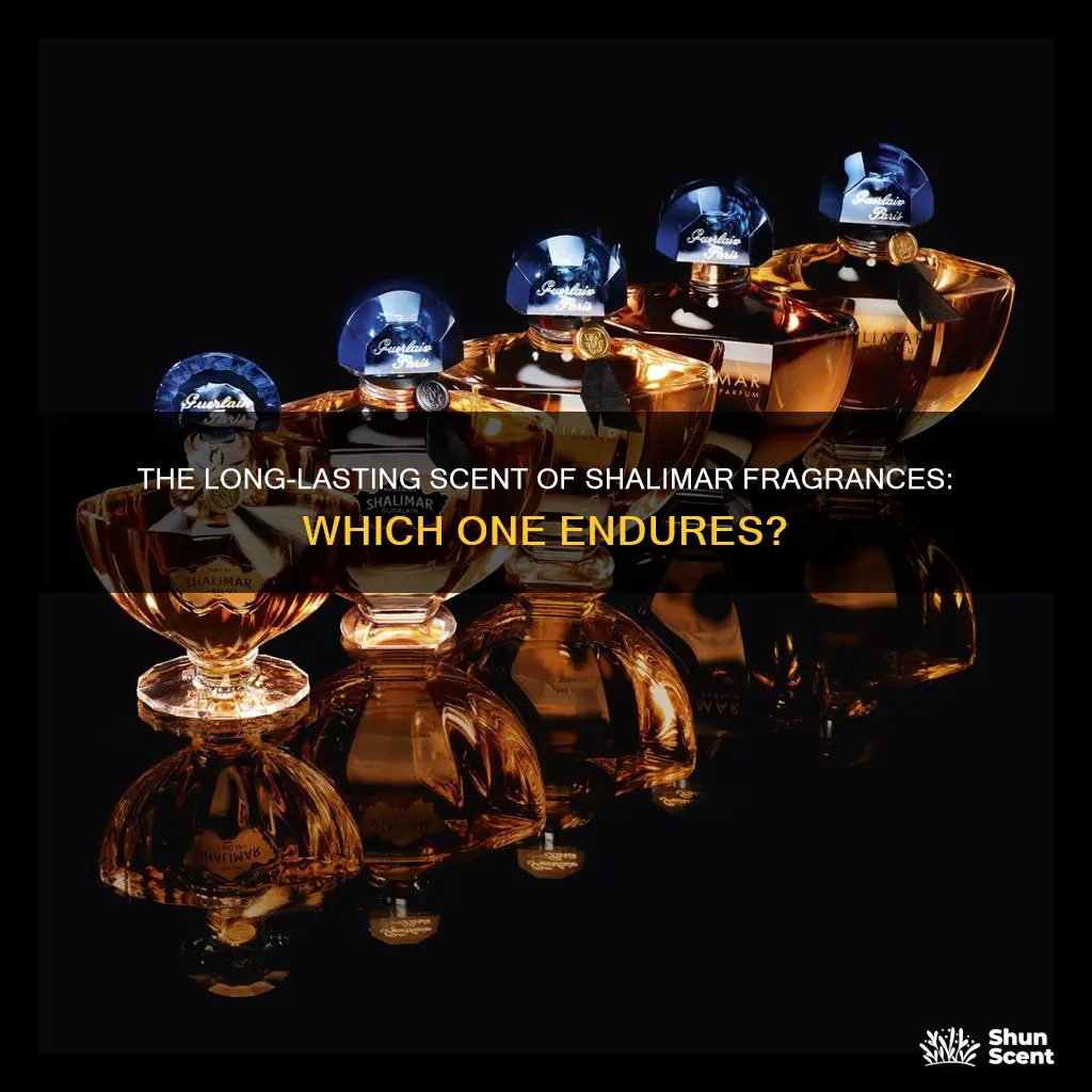 which shalimar fragrance lasts the longest