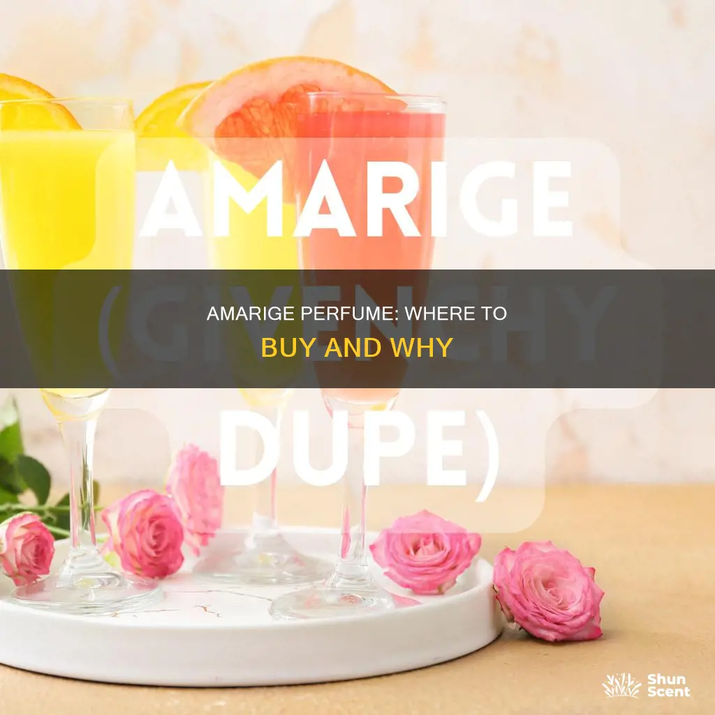 which shop to buy amarige perfume
