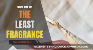 The Subtle Scent: Mildly-Fragranced Soaps for Sensitive Noses
