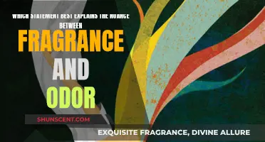 The Art of Fragrance: Understanding Odor's Nuance