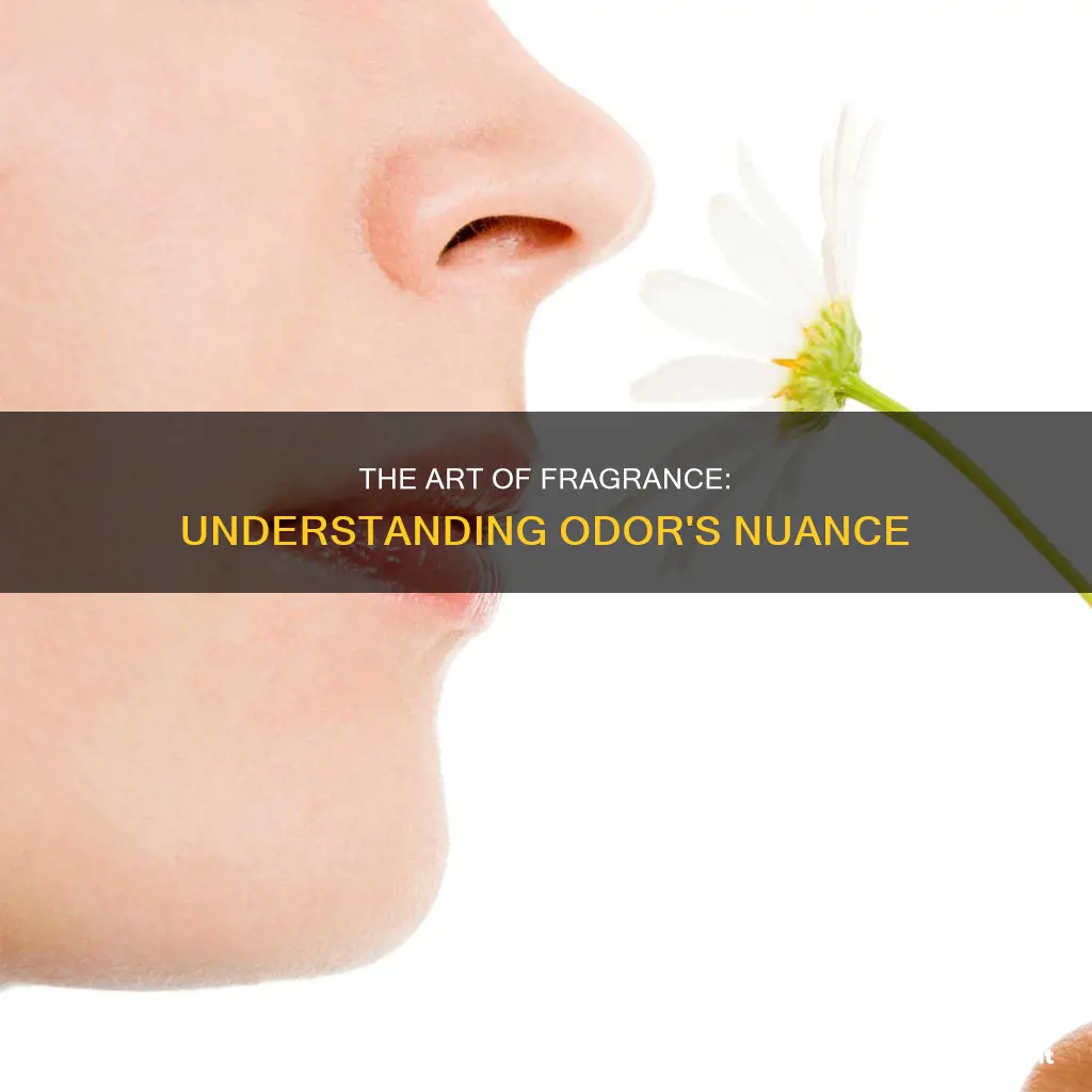 which statement best explains the nuance between fragrance and odor
