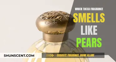 Discover Tocca's Pear-Infused Fragrances: A Sensory Journey