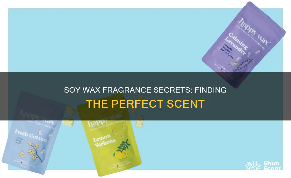which types of fragrances work best in soy wax