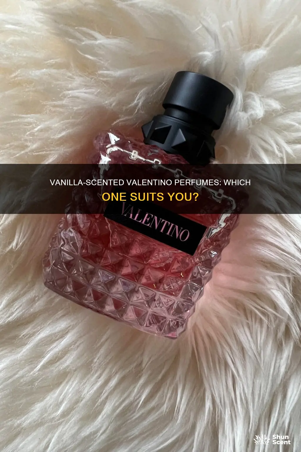which valentino perfume smells like vanilla