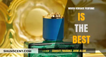 Versace Scents: Discover the Best Fragrances