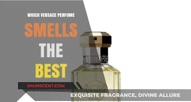 Versace Scents: The Best Fragrances for You