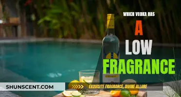 The Best Low-Fragrance Vodkas for Subtle Cocktails