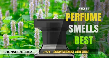 Perfumes: Which Scents are Superior?