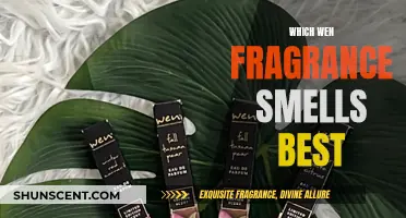 Wen's Best-Smelling Fragrances: A Review and Ranking